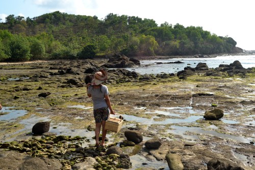 Pantai Wediombo, Gunungkidul.